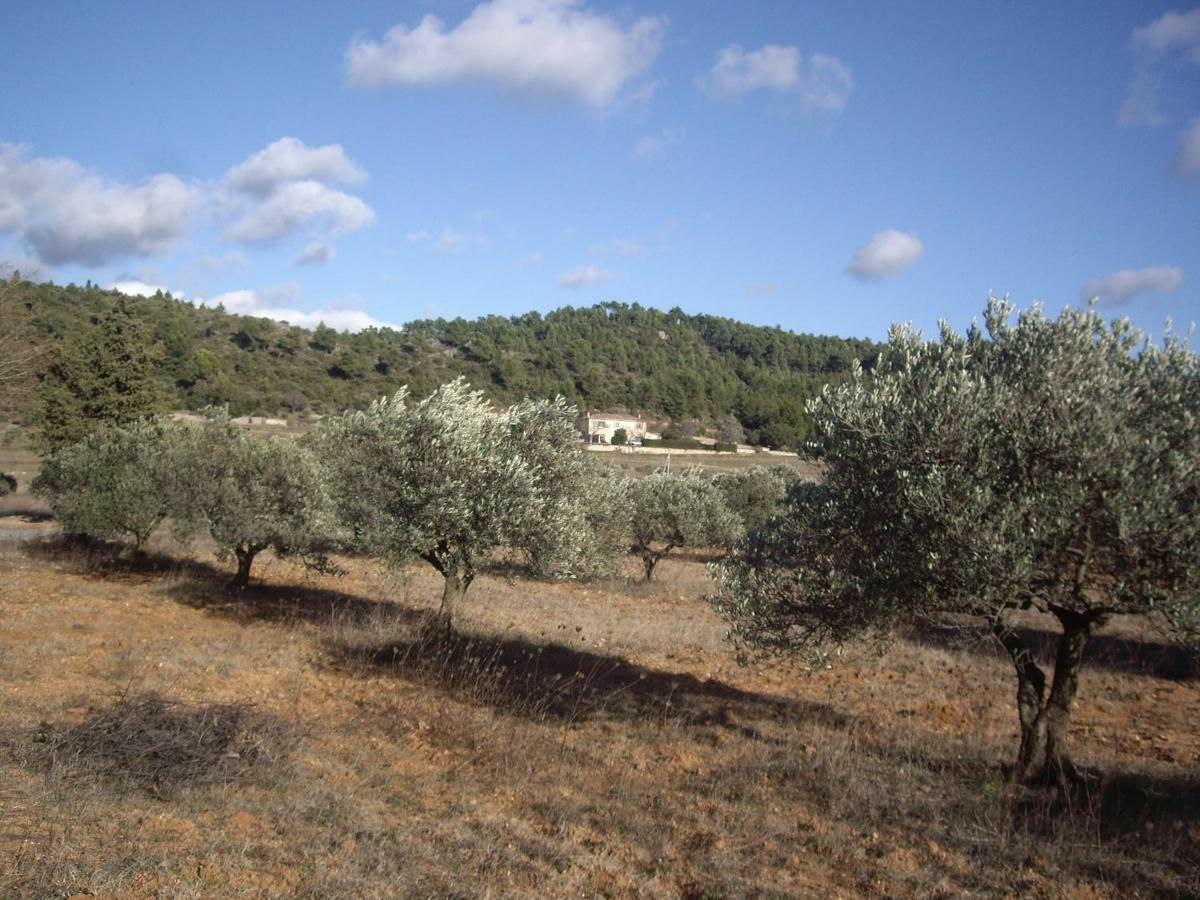 L' Oliveraie De Plerimond โอปส์ ภายนอก รูปภาพ